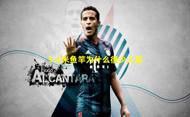 5.4米鱼竿为什么很少人买