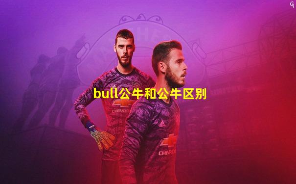 bull公牛和公牛区别
