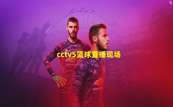 cctv5篮球直播现场