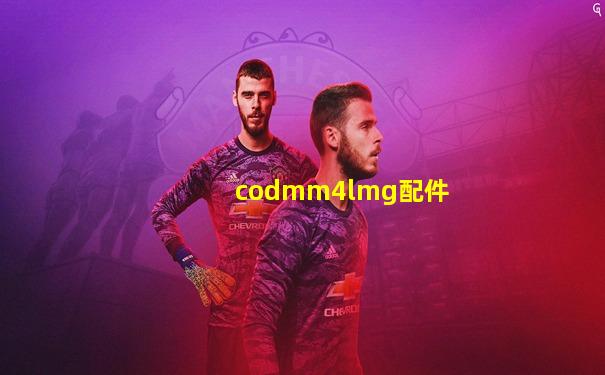 codmm4lmg配件
