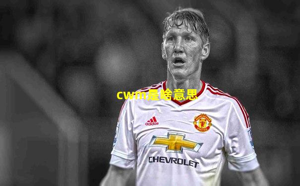 cwm是啥意思