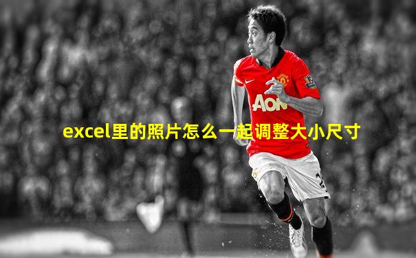 excel里的照片怎么一起调整大小尺寸