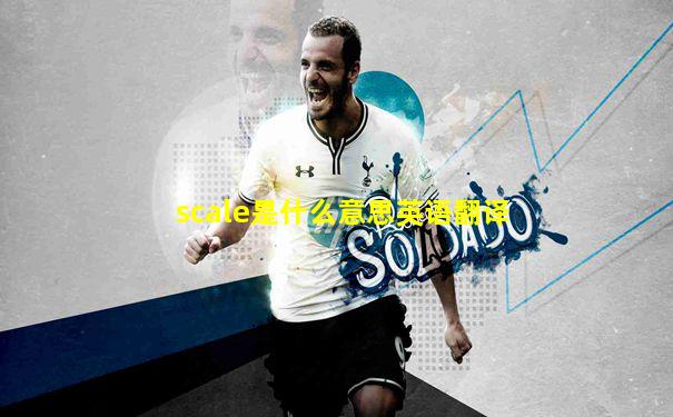 scale是什么意思英语翻译