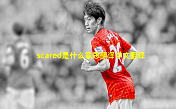 scared是什么意思翻译中文翻译