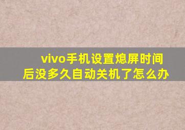 vivo手机设置熄屏时间后没多久自动关机了怎么办