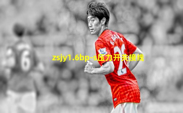 zsjy1.6bp-s压力开关接线