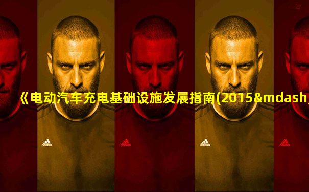 《电动汽车充电基础设施发展指南(2015—2020年)》