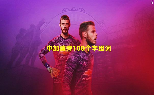 中加偏旁100个字组词