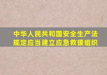 中华人民共和国安全生产法规定应当建立应急救援组织
