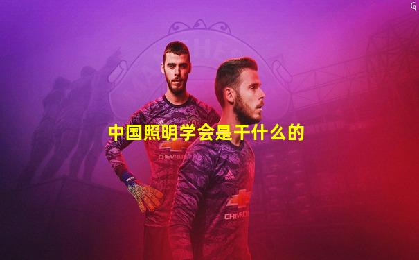 中国照明学会是干什么的