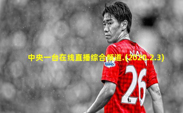 中央一台在线直播综合频道.(2020.2.3)