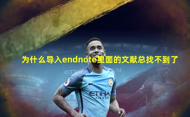 为什么导入endnote里面的文献总找不到了