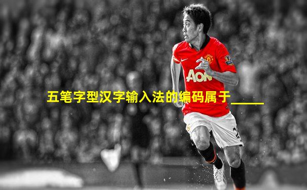 五笔字型汉字输入法的编码属于_____