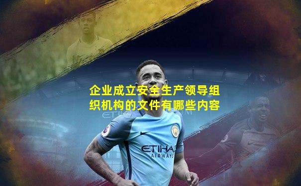 企业成立安全生产领导组织机构的文件有哪些内容