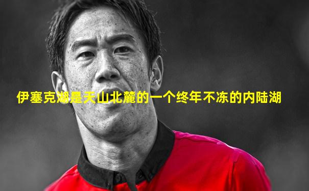 伊塞克湖是天山北麓的一个终年不冻的内陆湖