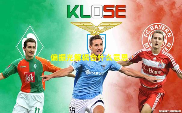 偏振光解耦合什么意思