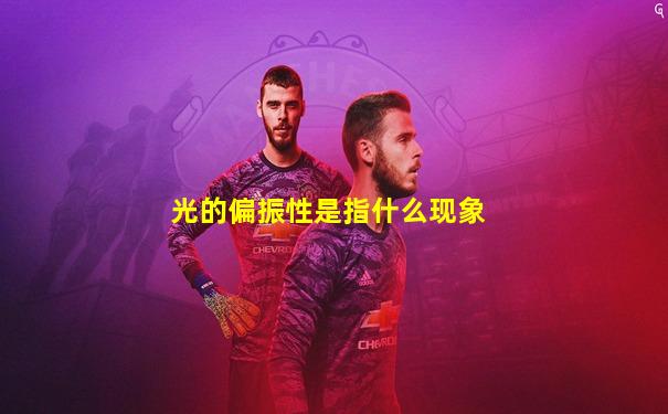 光的偏振性是指什么现象