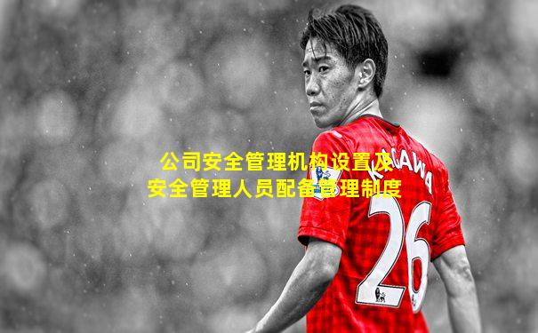 公司安全管理机构设置及安全管理人员配备管理制度
