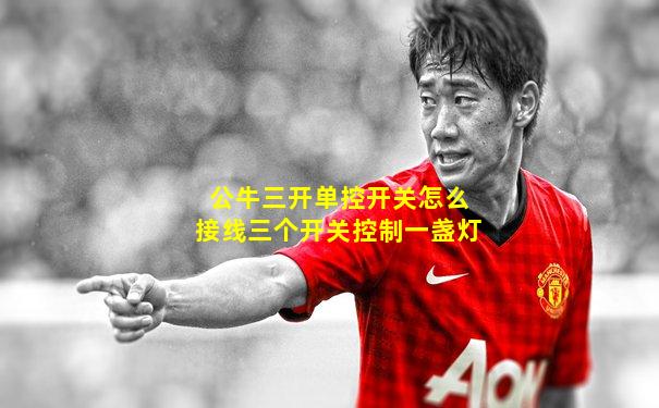 公牛三开单控开关怎么接线三个开关控制一盏灯