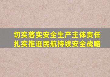 切实落实安全生产主体责任扎实推进民航持续安全战略