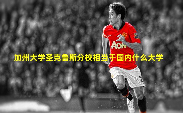 加州大学圣克鲁斯分校相当于国内什么大学