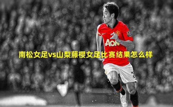 南松女足vs山梨藤樱女足比赛结果怎么样