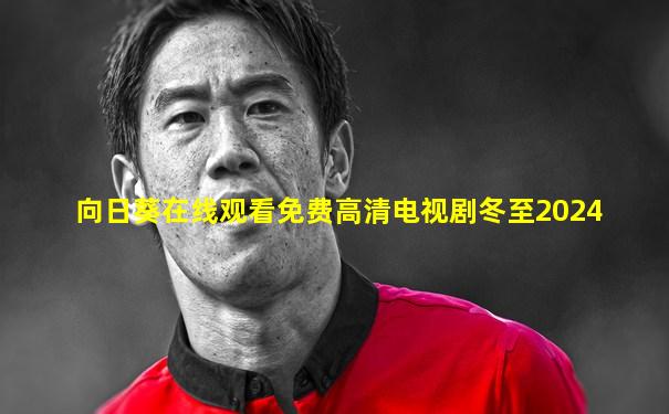向日葵在线观看免费高清电视剧冬至2024
