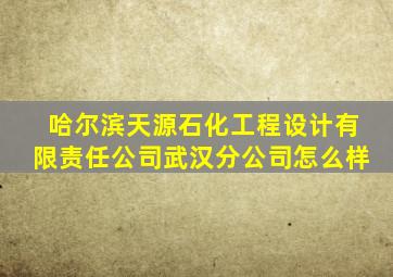 哈尔滨天源石化工程设计有限责任公司武汉分公司怎么样