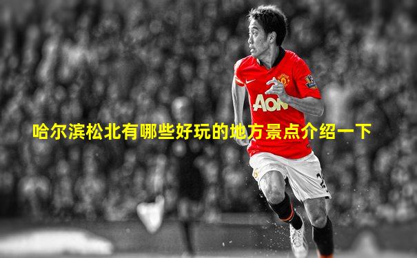 哈尔滨松北有哪些好玩的地方景点介绍一下