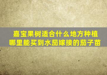 嘉宝果树适合什么地方种植哪里能买到水茄嫁接的茄子苗