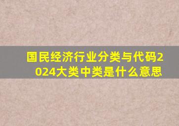国民经济行业分类与代码2024大类中类是什么意思