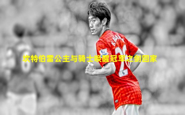 坎特伯雷公主与骑士唤醒冠军之剑回家