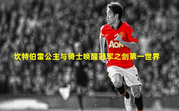 坎特伯雷公主与骑士唤醒冠军之剑第一世界