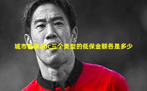 城市低保abc三个类型的低保金额各是多少