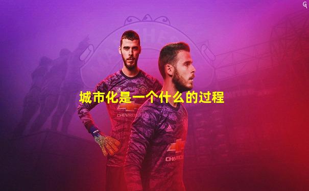 城市化是一个什么的过程