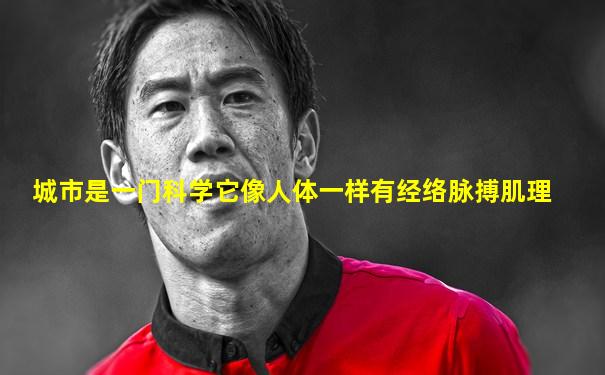 城市是一门科学它像人体一样有经络脉搏肌理