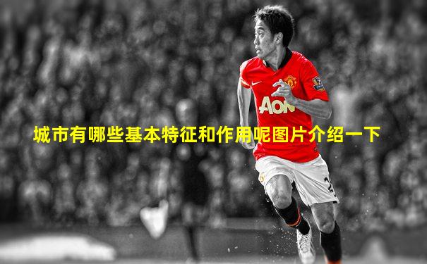城市有哪些基本特征和作用呢图片介绍一下