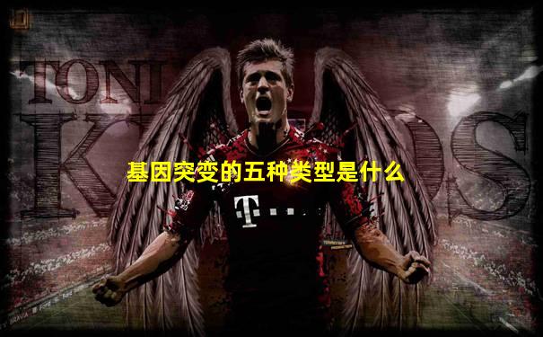 基因突变的五种类型是什么