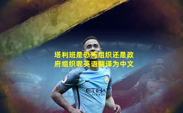 塔利班是恐怖组织还是政府组织呢英语翻译为中文