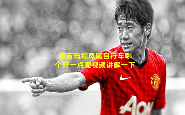 塔吉玛和凤凰自行车哪个好一点呢视频讲解一下