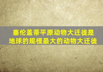塞伦盖蒂平原动物大迁徙是地球的规模最大的动物大迁徙