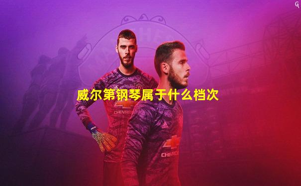 威尔第钢琴属于什么档次
