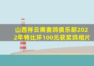 山西祥云阁赛鸽俱乐部2022年特比环100元获奖鸽相片