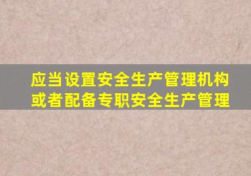 应当设置安全生产管理机构或者配备专职安全生产管理