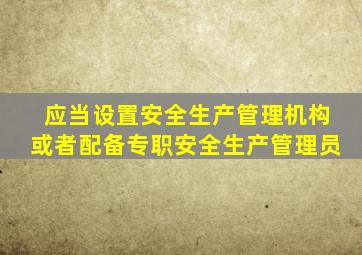 应当设置安全生产管理机构或者配备专职安全生产管理员
