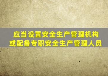 应当设置安全生产管理机构或配备专职安全生产管理人员
