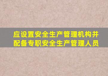 应设置安全生产管理机构并配备专职安全生产管理人员