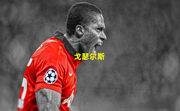 戈瑟尔斯