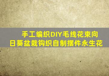 手工编织DIY毛线花束向日葵盆栽钩织自制摆件永生花