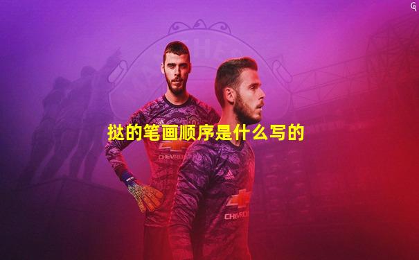 挞的笔画顺序是什么写的